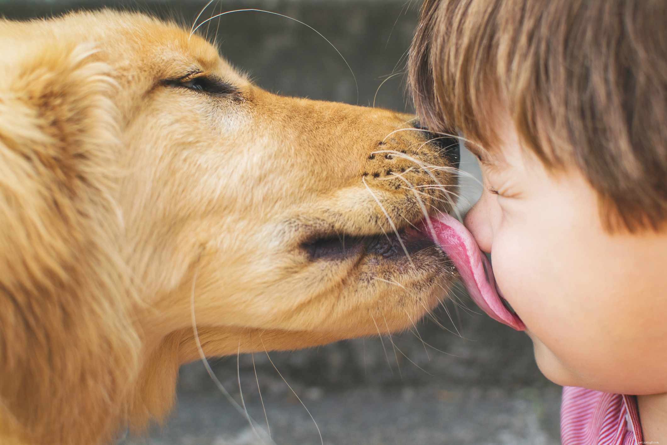 Build a Strong, Trusting Bond with Your New Puppy