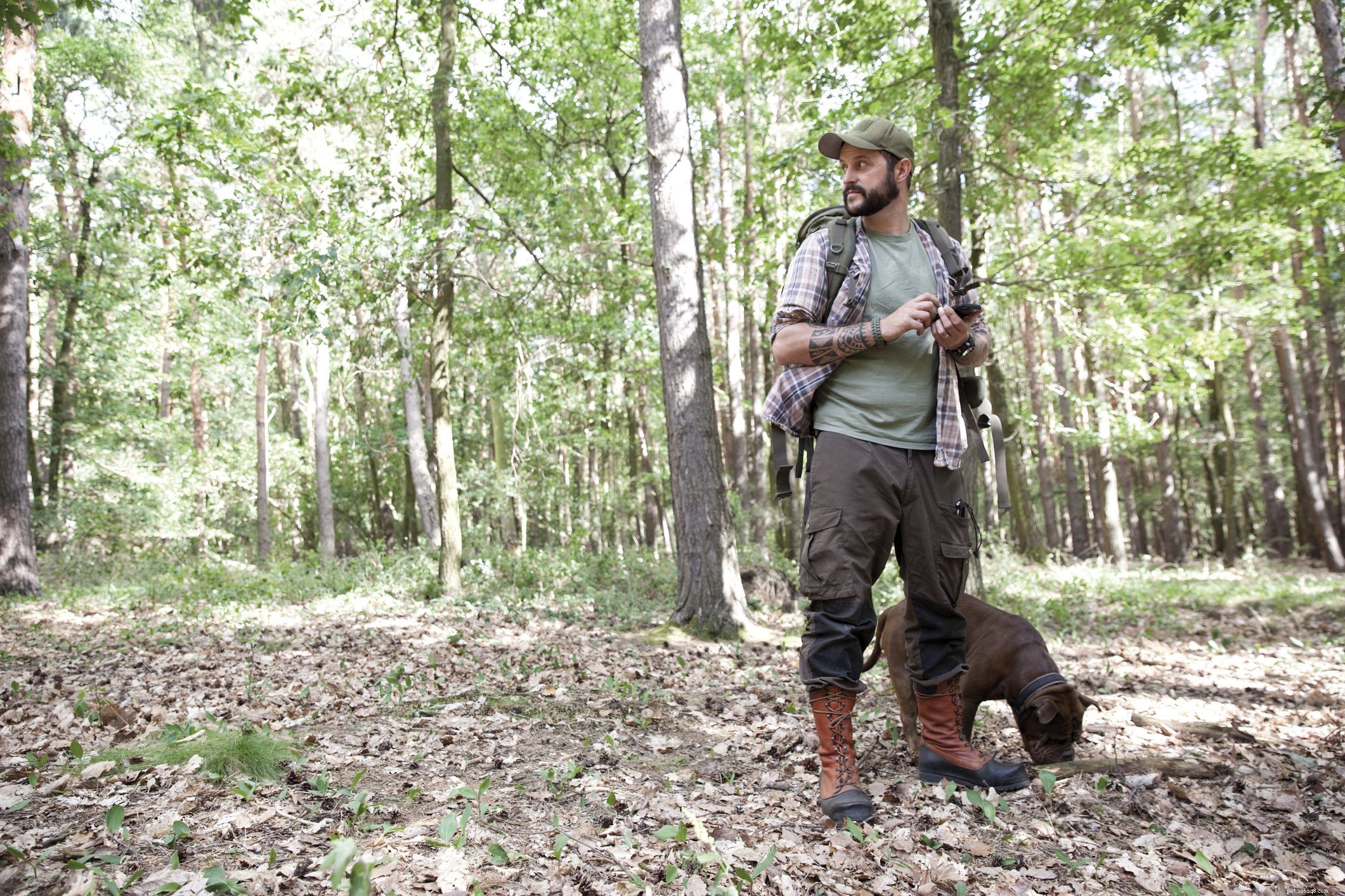 Quick Guide: How to Locate a Lost Puppy Safely and Effectively