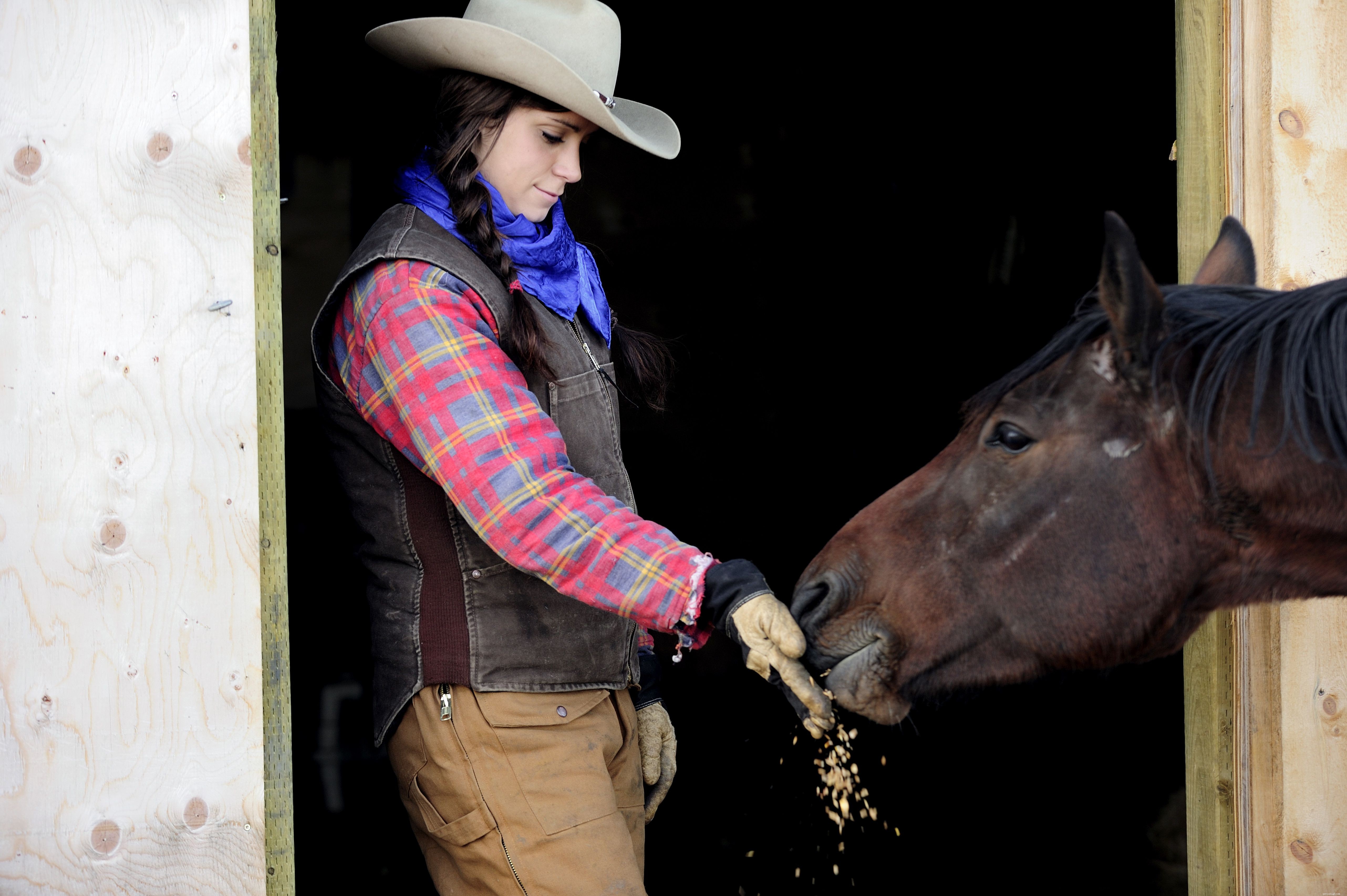 Optimal Horse Nutrition: How to Feed Your Horse for Health and Longevity