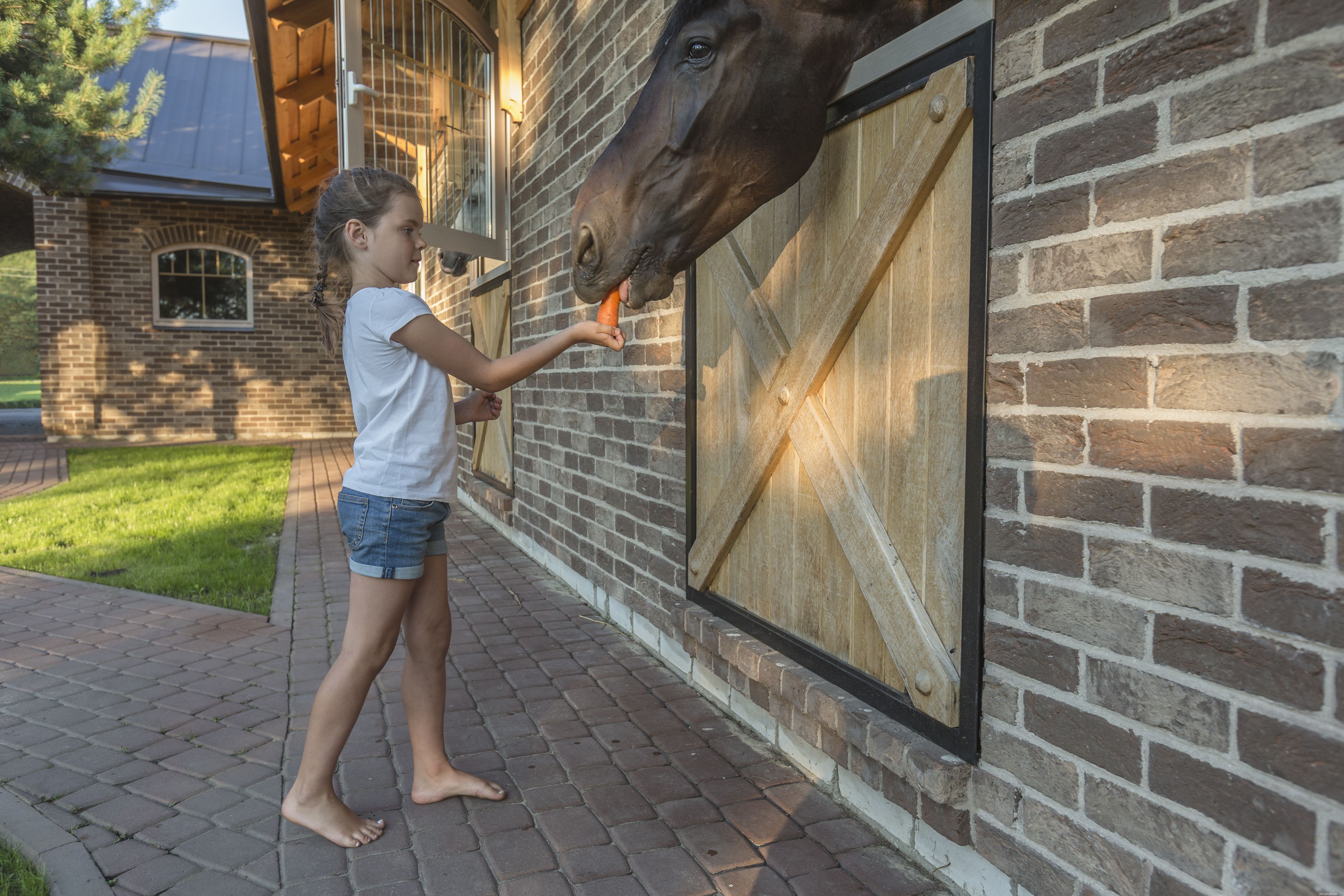 Optimal Horse Nutrition: How to Feed Your Horse for Health and Longevity