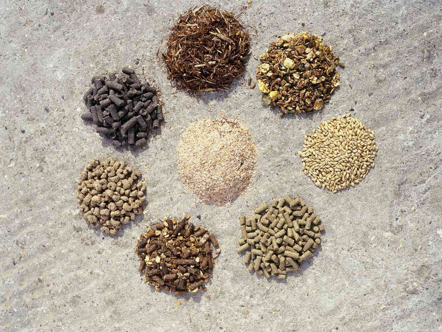 Optimal Horse Nutrition: How to Feed Your Horse for Health and Longevity