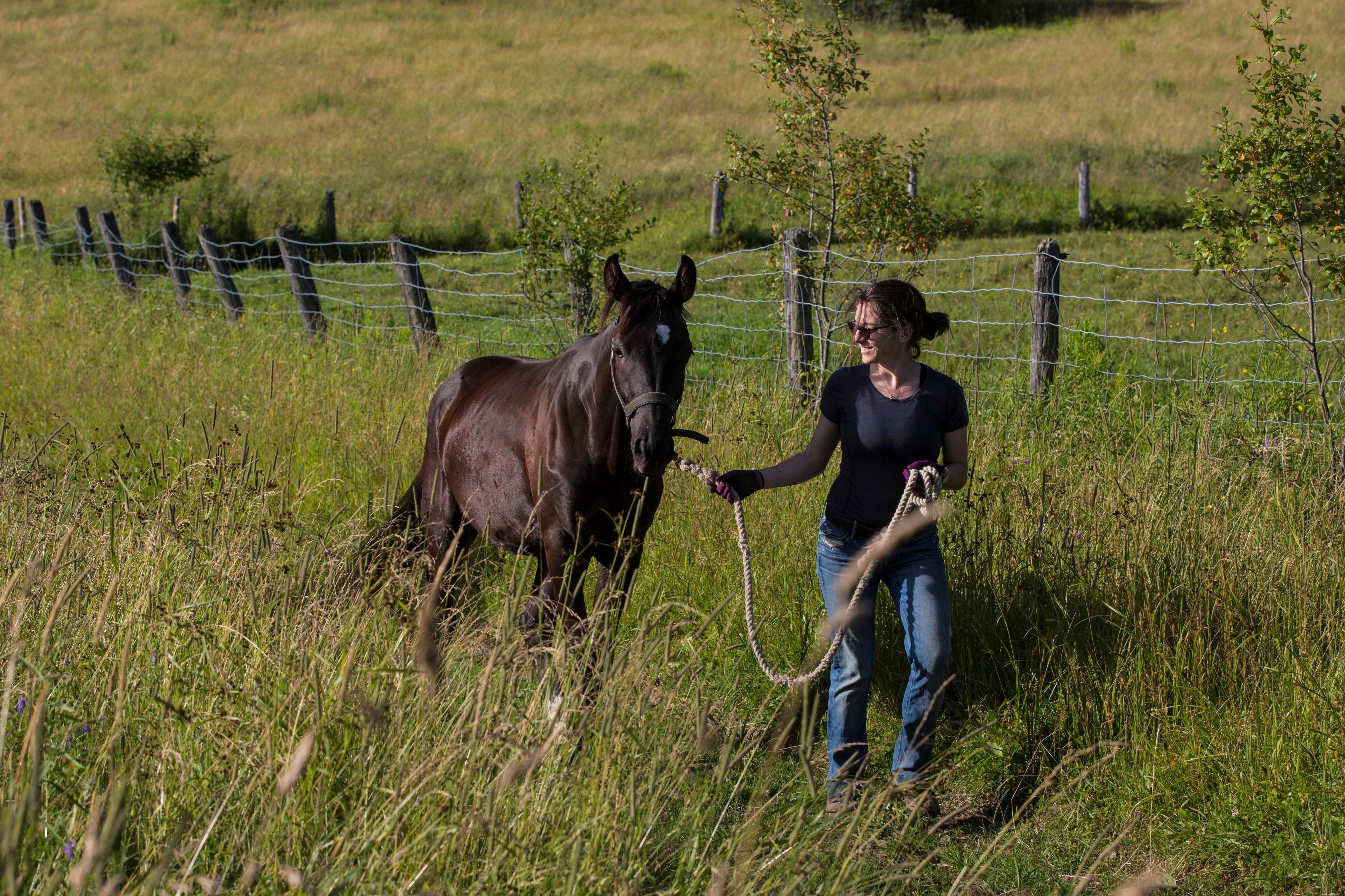 Optimal Horse Nutrition: How to Feed Your Horse for Health and Longevity