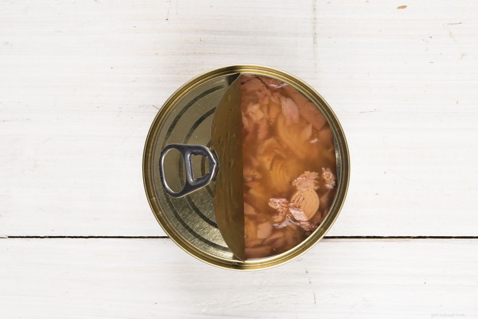 Is Tuna Safe for Cats? Nutritional Insights & Feeding Tips