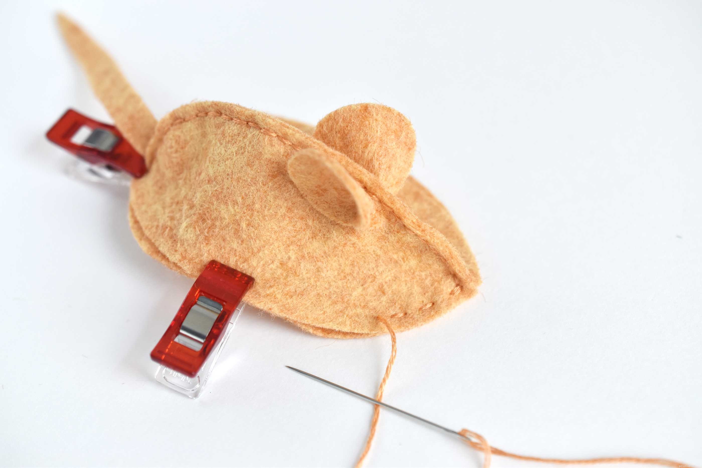 Celebrate Your Cat’s Birthday with 8 Creative, Cat‑Friendly Ways