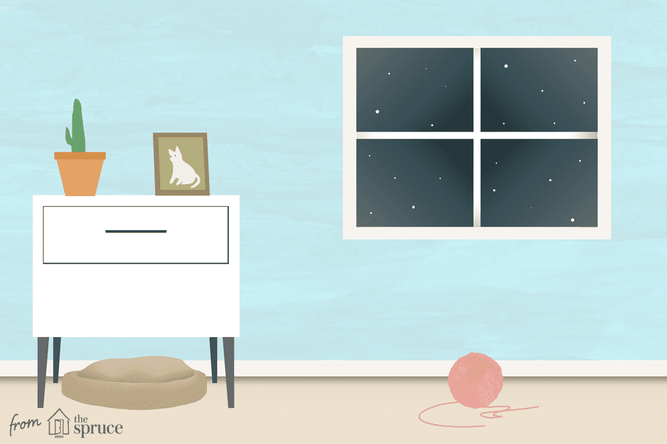 Professional Guide to Caring for Your Cat’s Remains at Home