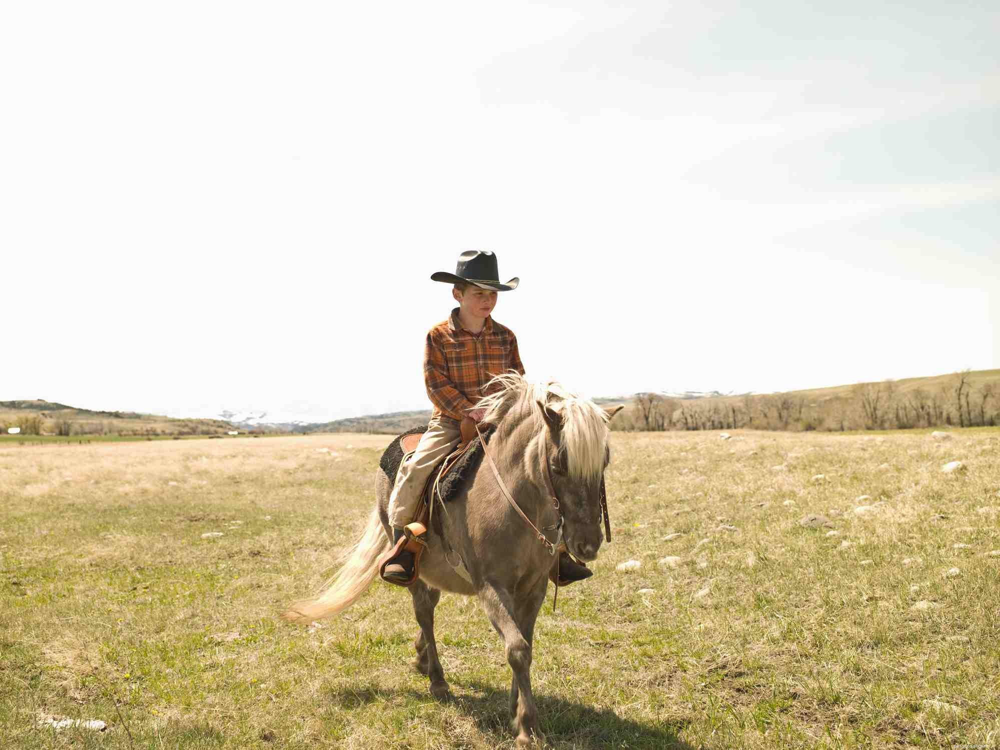 Top 10 Horse Breeds & Types: A Guide to the Most Popular Equine Favorites
