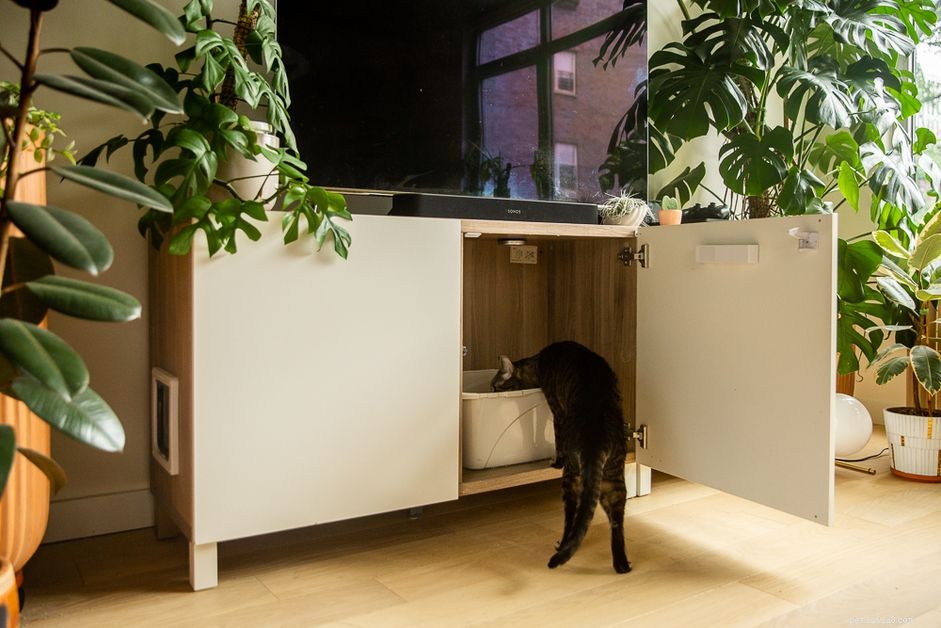 16 Smart Solutions to Conceal Your Cat’s Litter Box