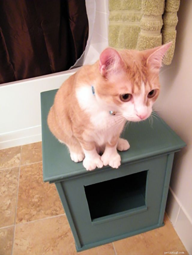 16 Smart Solutions to Conceal Your Cat’s Litter Box