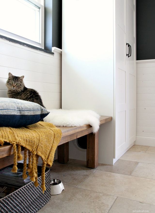 16 Smart Solutions to Conceal Your Cat’s Litter Box