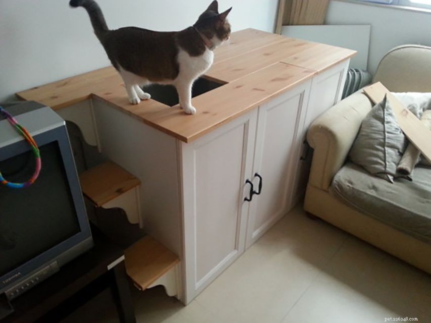 16 Smart Solutions to Conceal Your Cat’s Litter Box
