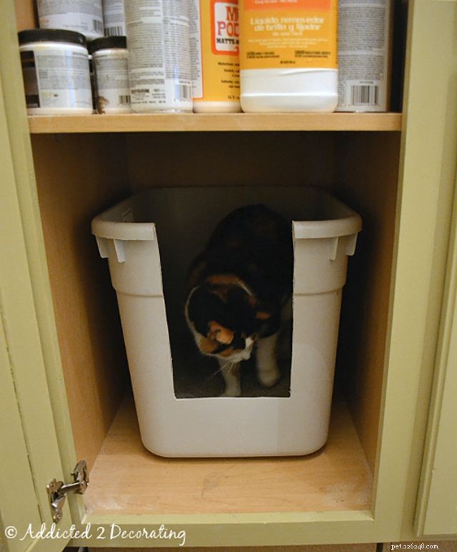 16 Smart Solutions to Conceal Your Cat’s Litter Box