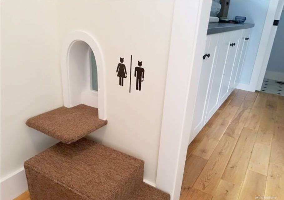 16 Smart Solutions to Conceal Your Cat’s Litter Box
