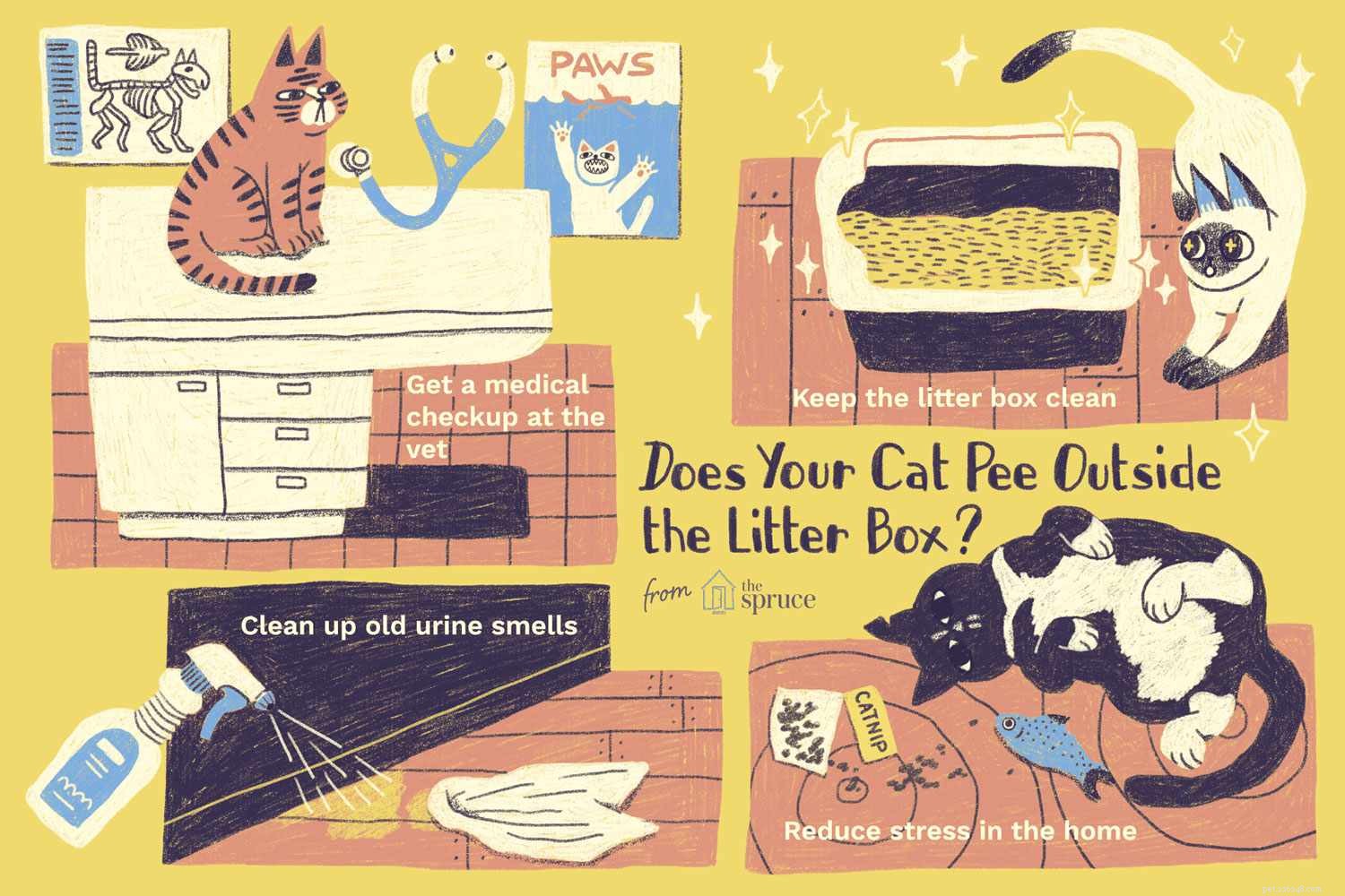 Stop Your Cat from Peeing Outside the Litter Box: Proven, Easy Solutions