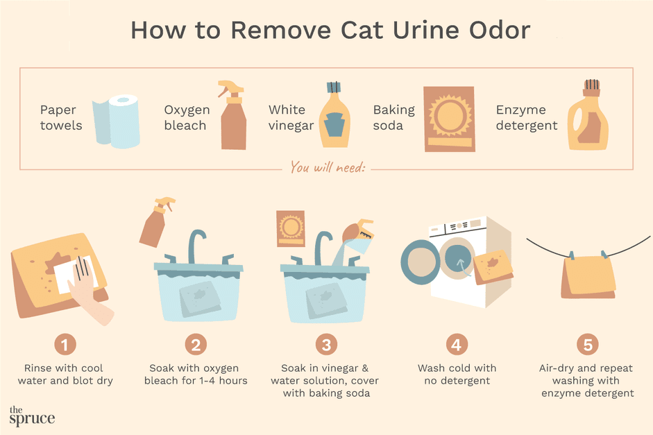 Eliminate Cat Urine Smell from Clothing and Bedding – Proven Laundry Hacks