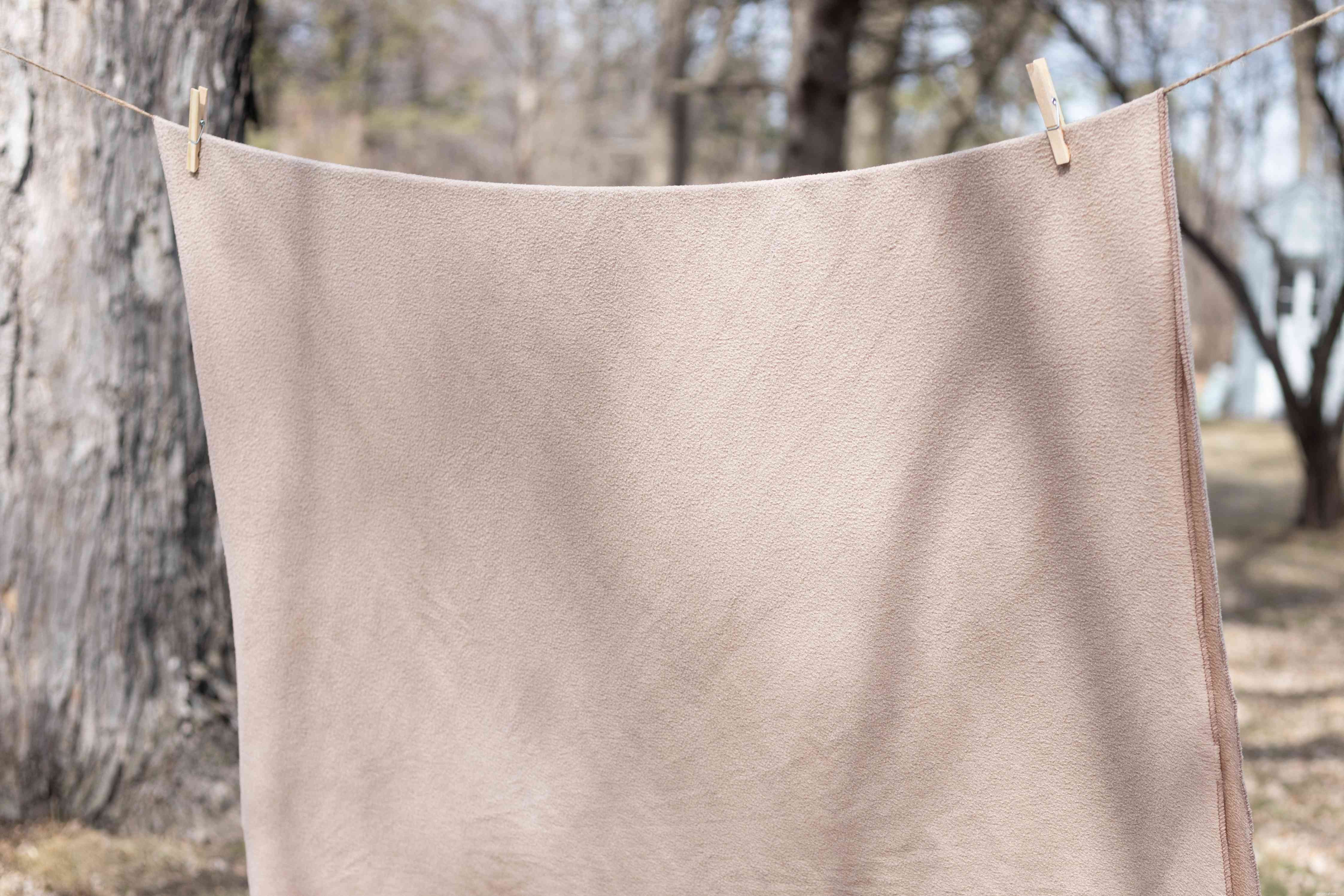 Eliminate Cat Urine Smell from Clothing and Bedding – Proven Laundry Hacks