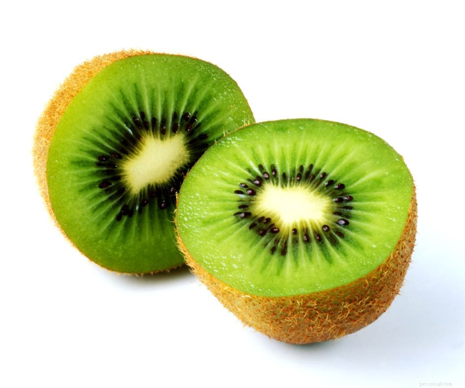 Is Kiwi Safe for Dogs? A Nutritional Guide