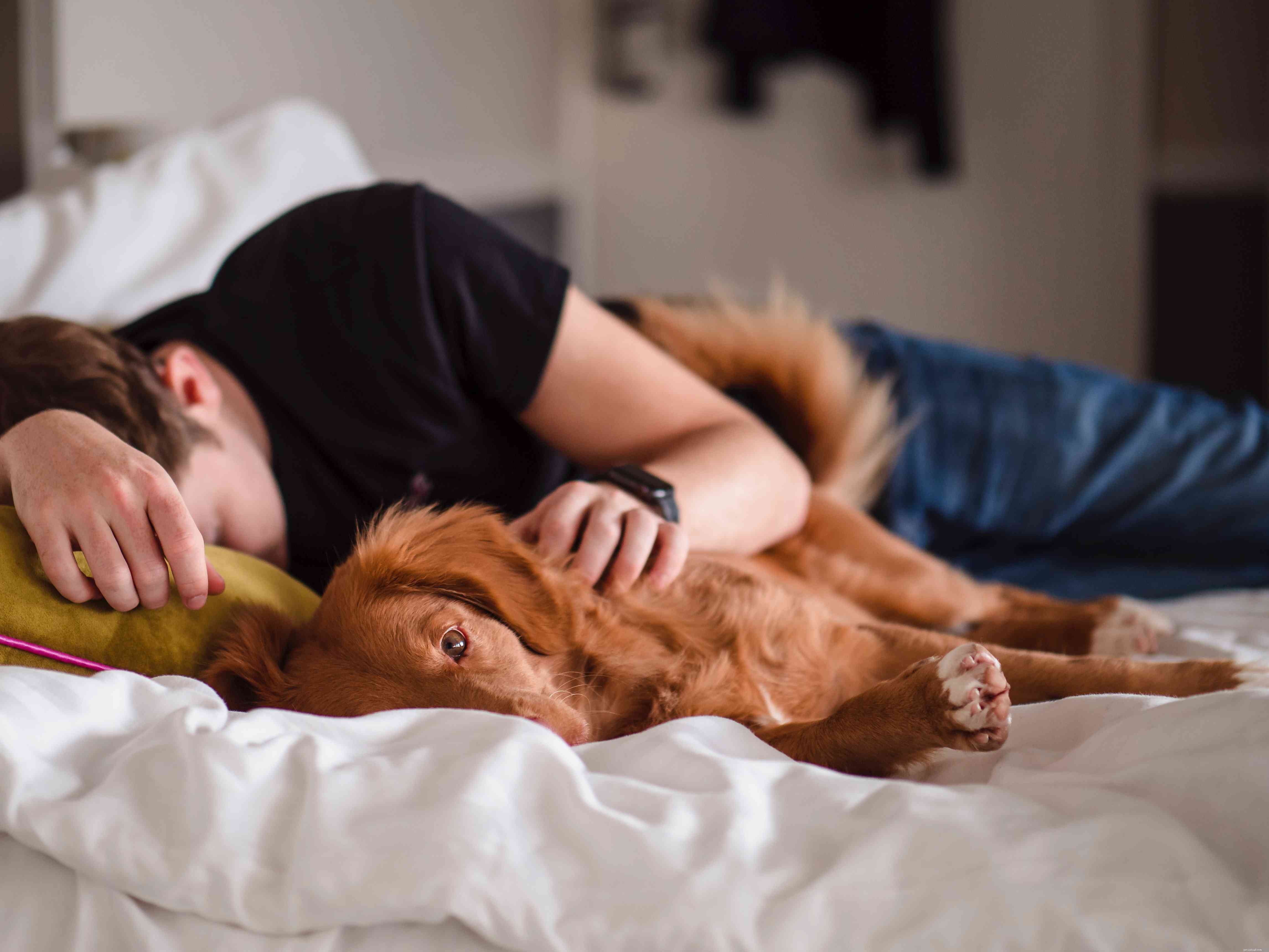 10 Common Human Habits That Irritate Your Dog