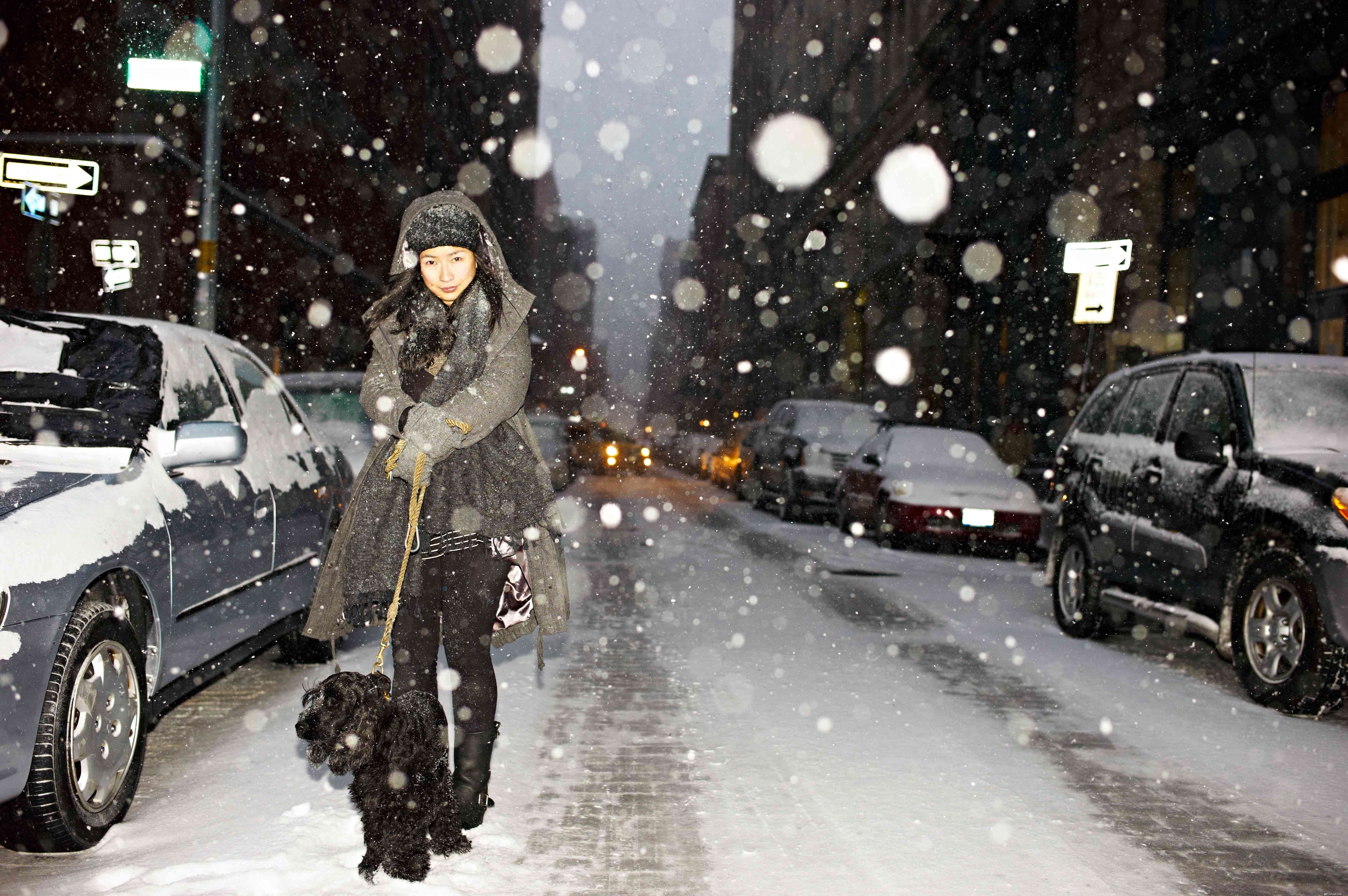 7 Proven Strategies to Keep Your Dog Safe on Winter Night Walks