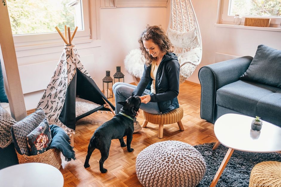 4 Proven Ways to Create a Pet-Friendly Home