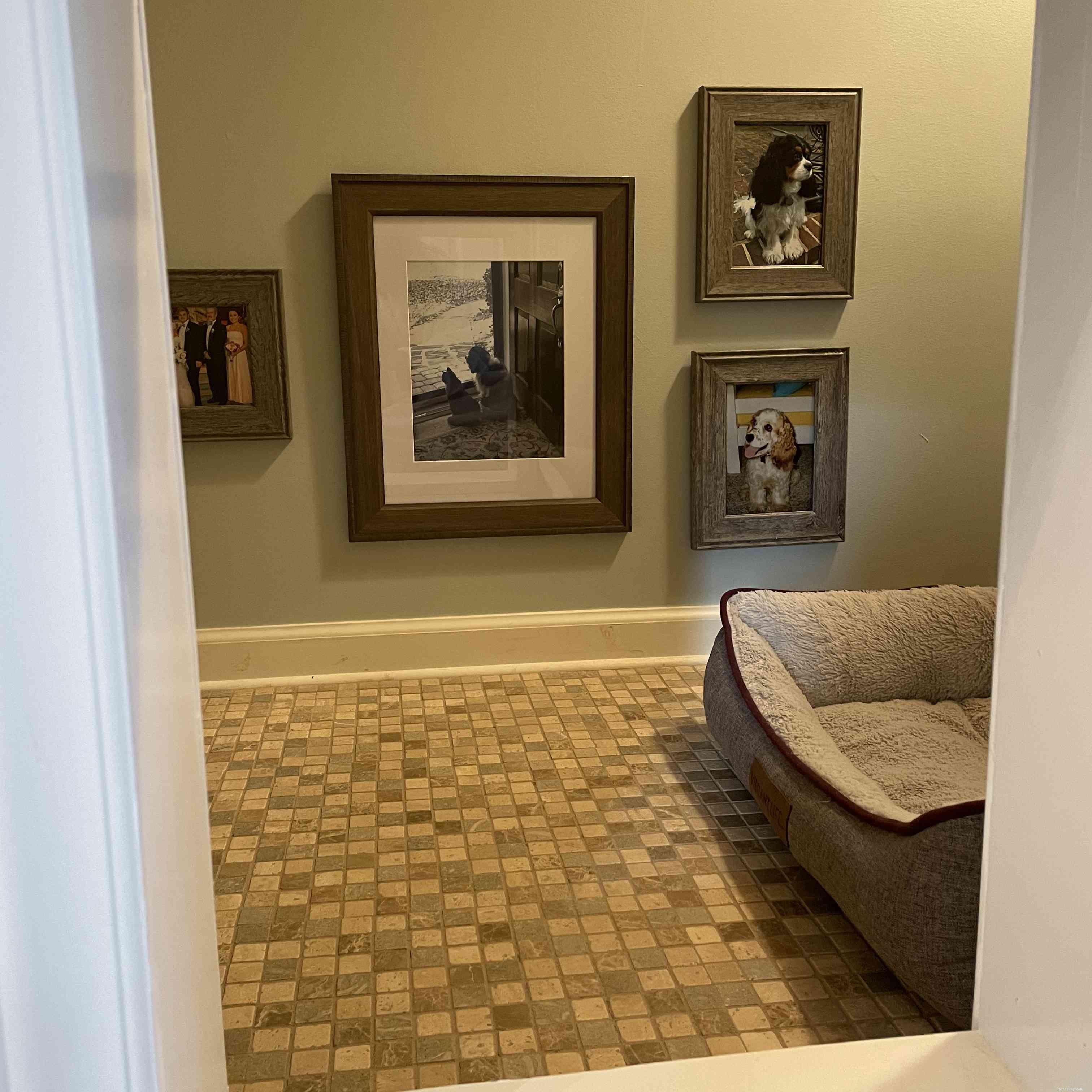 4 Proven Ways to Create a Pet-Friendly Home