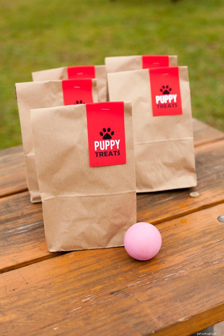 Celebrate Your Dog s Birthday: 10 Expert Tips for a Pawsitively Memorable Party