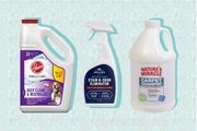 18 Red Flags: How to Spot When Your Cat Is Unwell