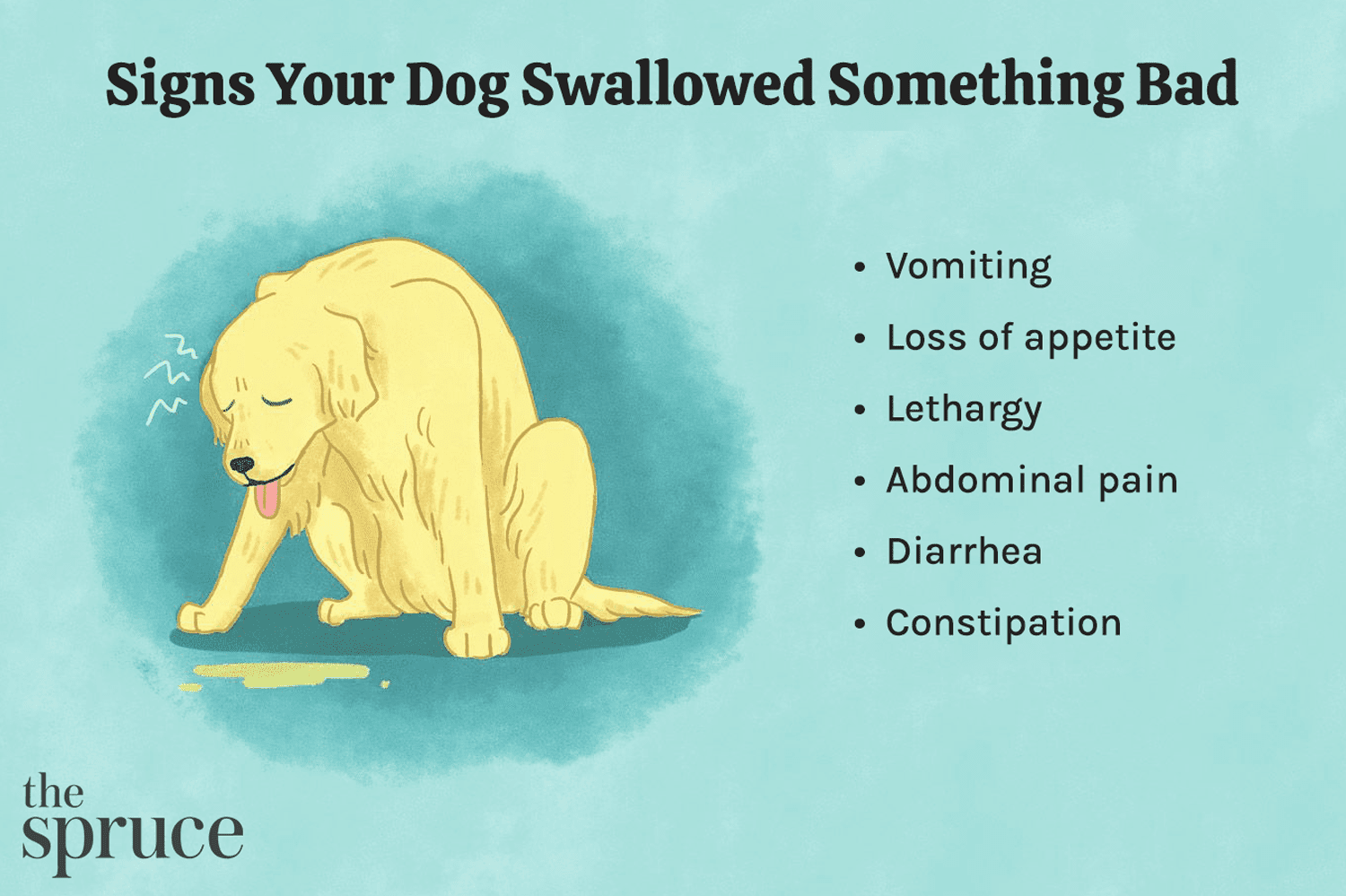 Puppy Safety: How to Handle Foreign Object Ingestion