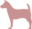Your Puppy’s First 30 Days: A Proven Guide for New Owners