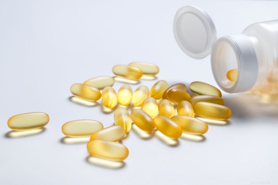 Is Human Fish Oil Safe for Dogs?