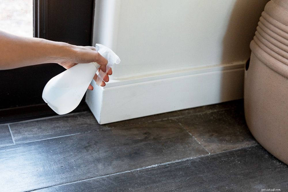 Stop Your Cat From Pooping Outside the Litter Box: Proven Solutions for Healthy, Stress-Free Behavior
