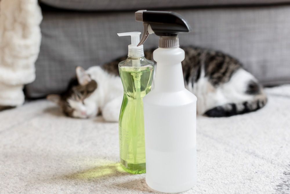 6 Proven Natural Remedies to Eradicate Fleas in Cats