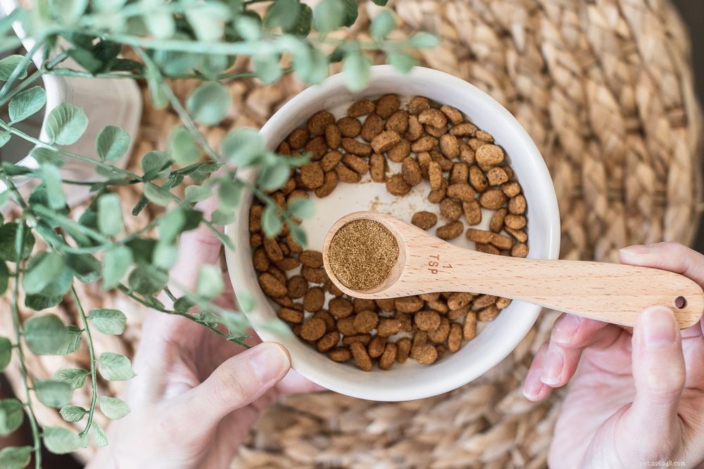 6 Proven Natural Remedies to Eradicate Fleas in Cats