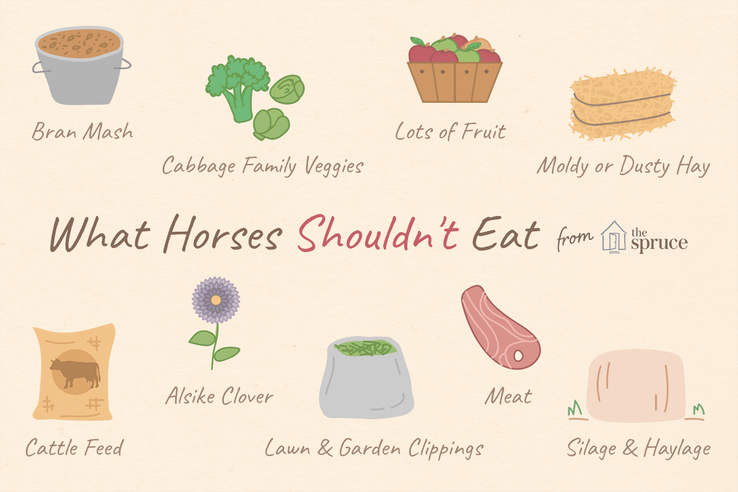 What Foods to Avoid: A Horse Owner’s Guide to Safe Feeding
