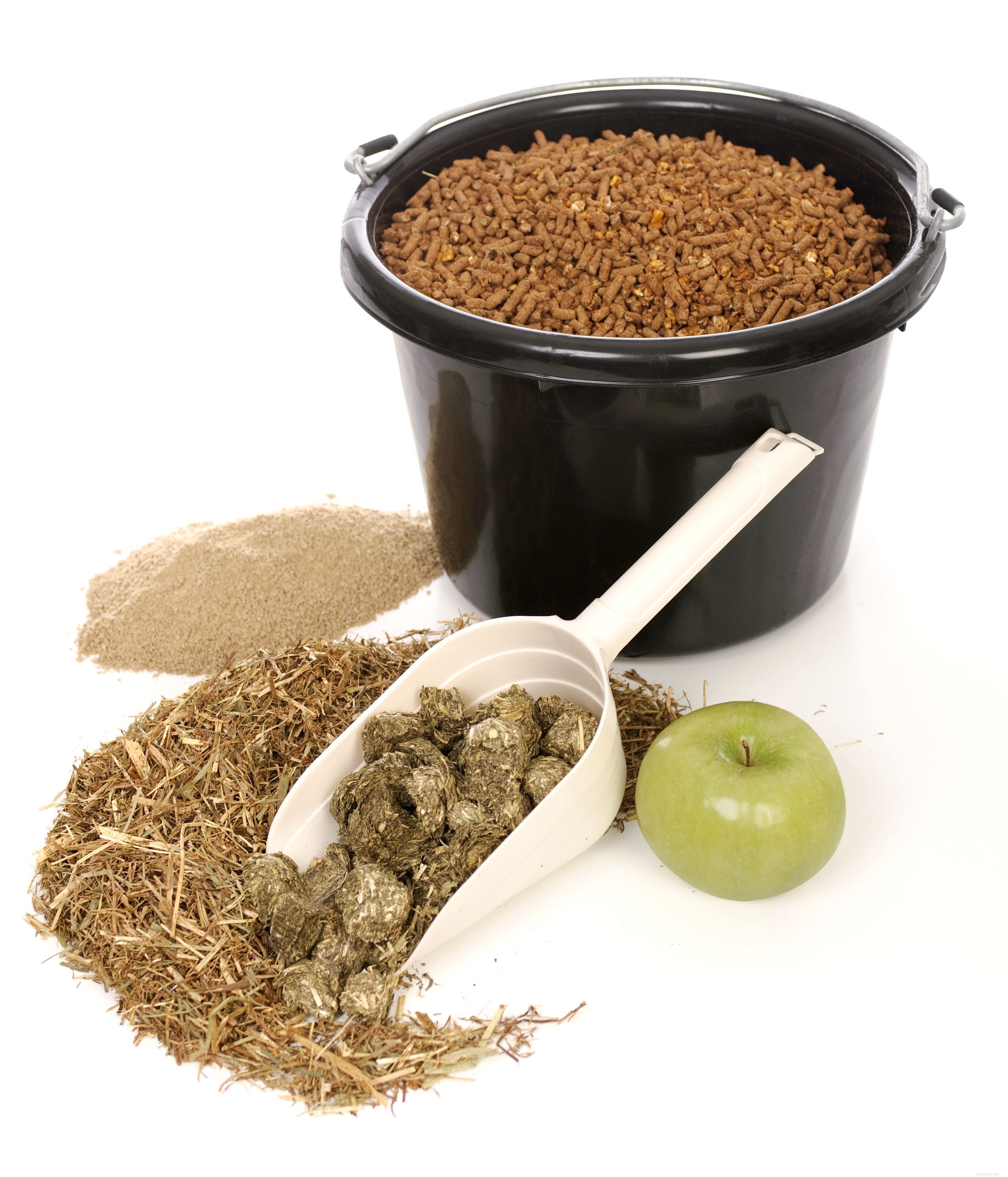 9 Key Facts About Horse Manure: A Practical Guide for Owners