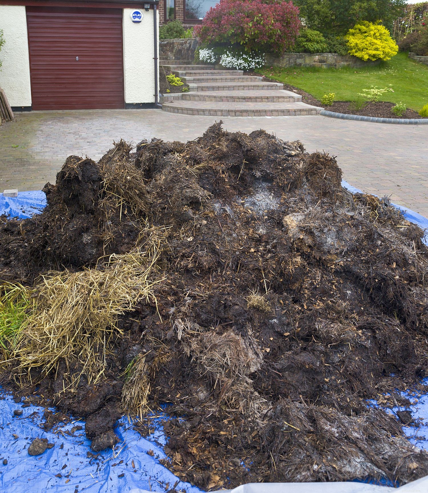 9 Key Facts About Horse Manure: A Practical Guide for Owners