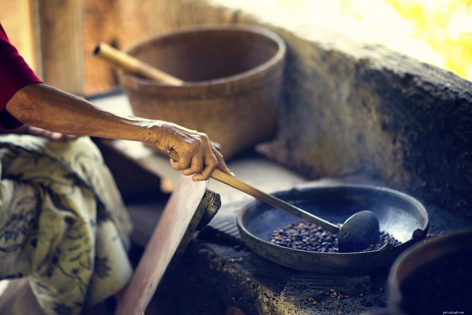 9 Key Facts About Horse Manure: A Practical Guide for Owners