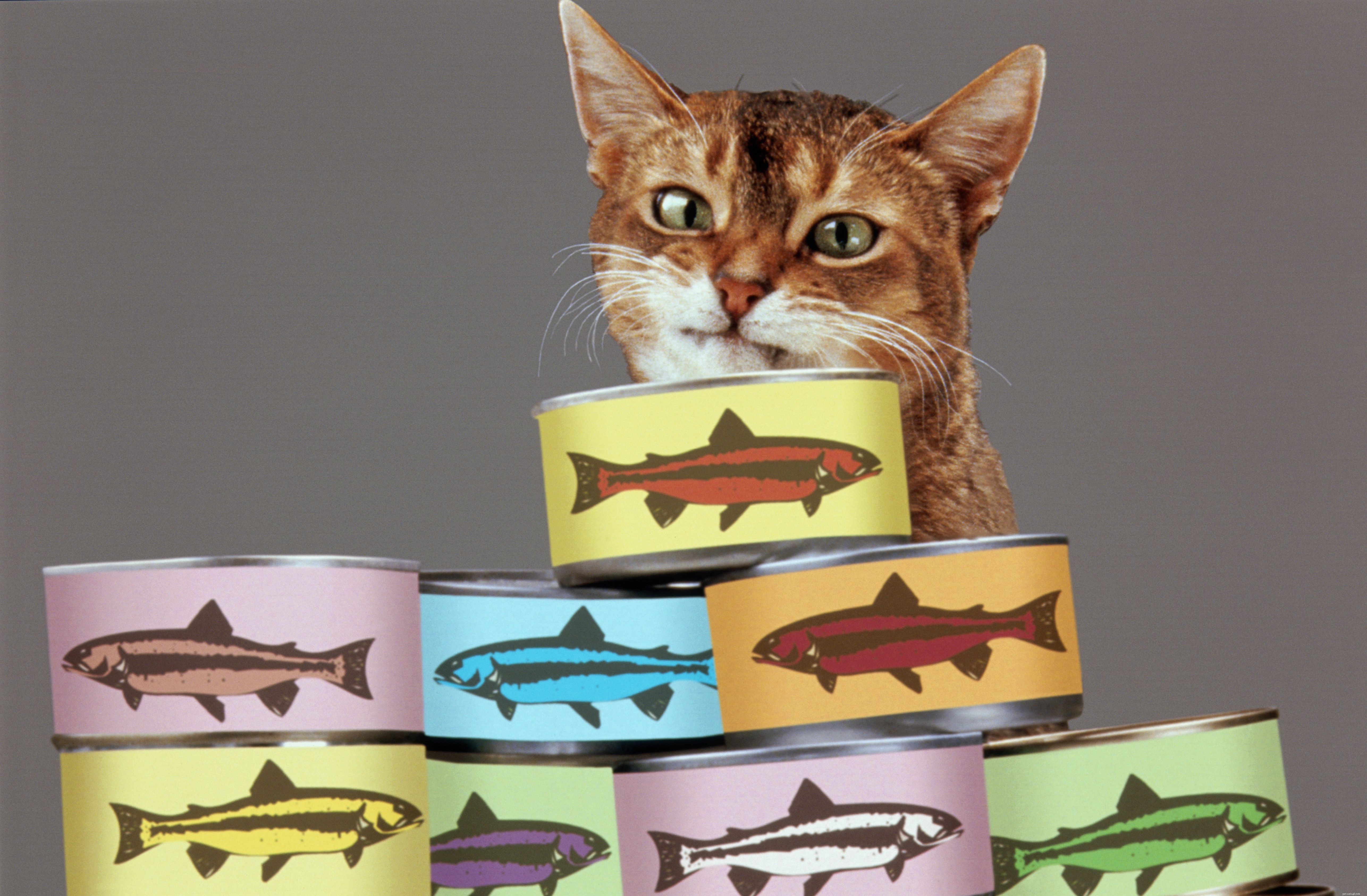 Understanding the True Costs of Responsible Cat Ownership