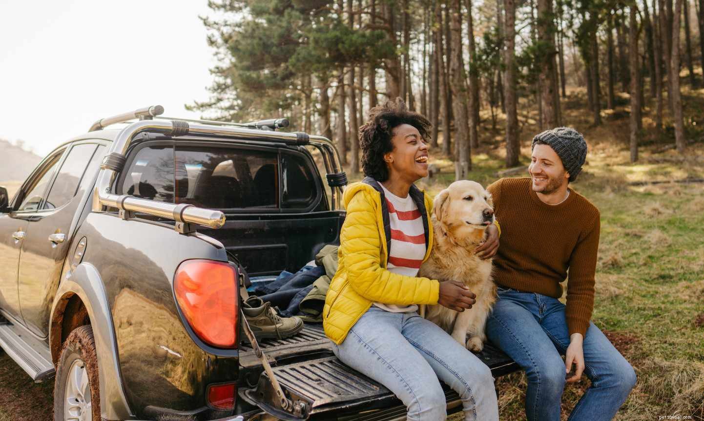 Upgrade Your Dog s Road Trip: Premium Tips for a First-Class Experience