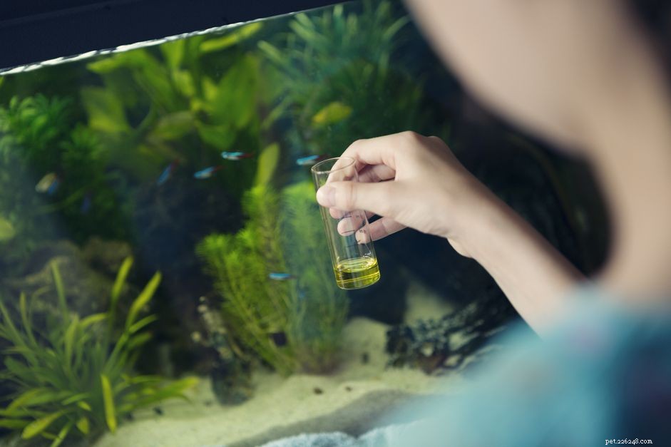 Mastering Aquarium Water Parameters: Key Metrics for Healthy, Stress‑Free Fish