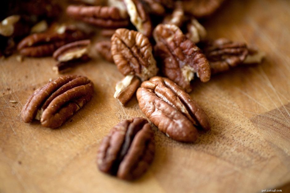 Are Pecans Safe for Dogs? What You Need to Know