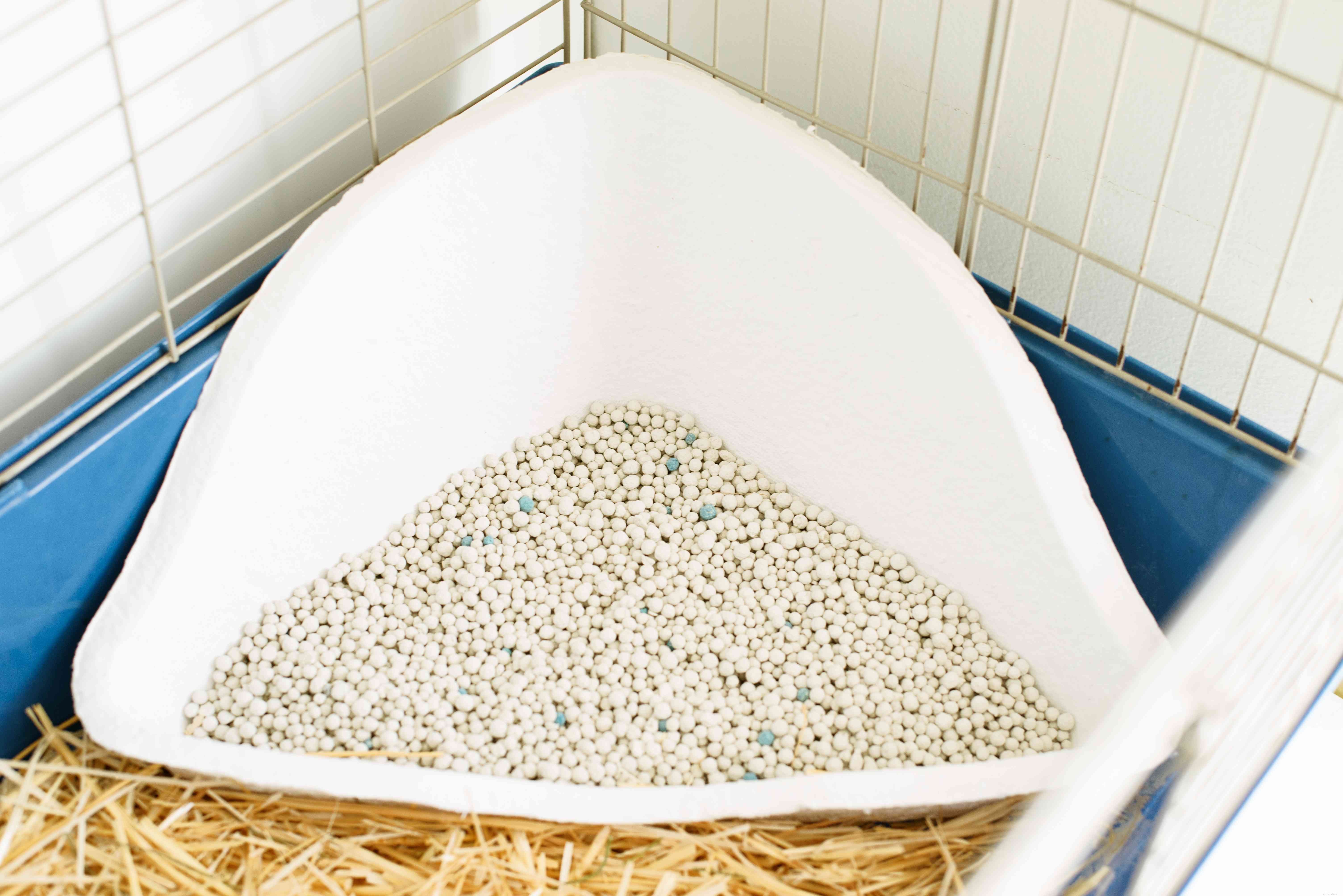 Step-by-Step Guide to Cleaning Your Rabbit’s Cage: Keep Your Pet Healthy & Happy