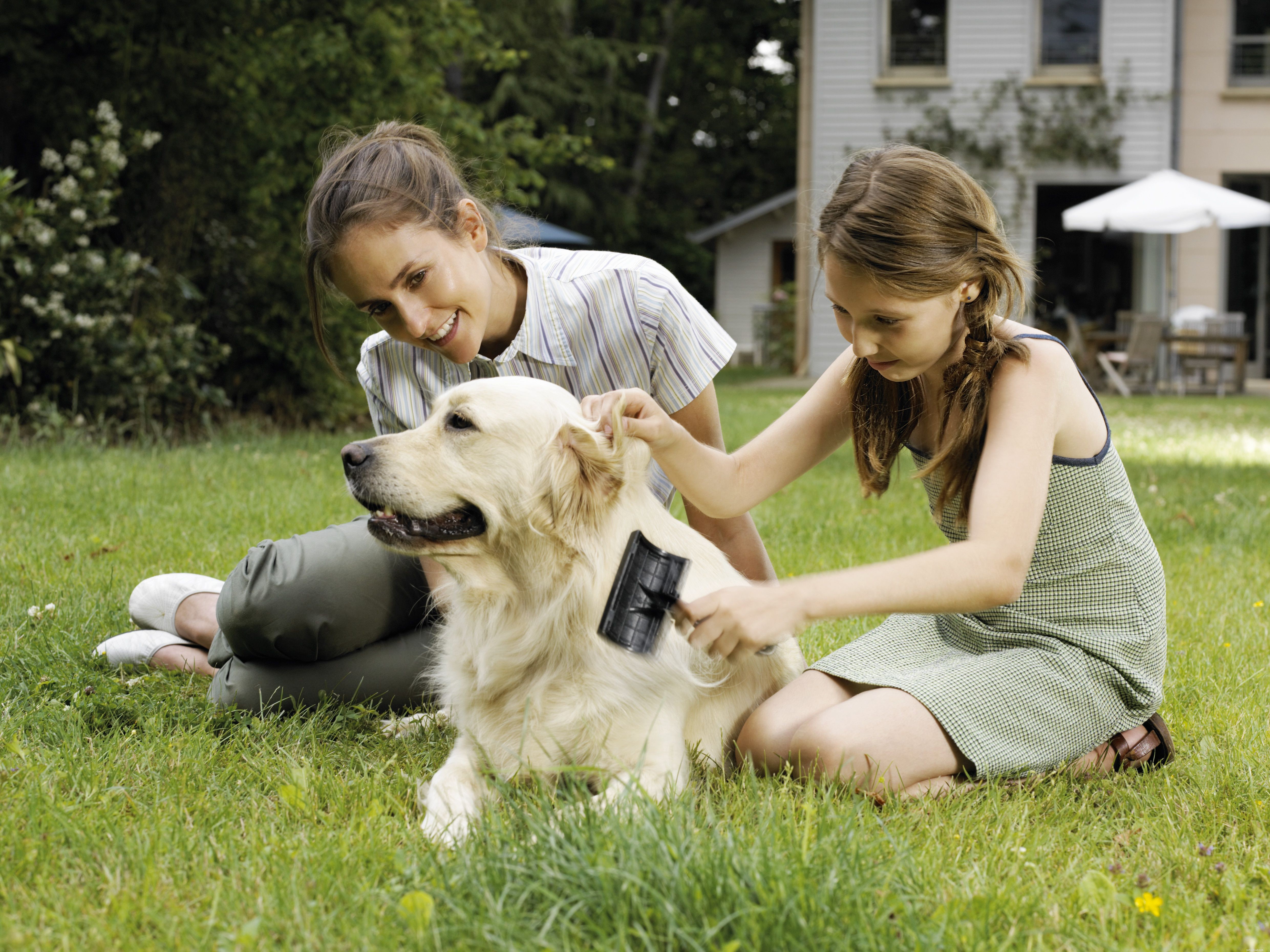 Essential Dog Grooming Guide: Keep Your Pet Healthy and Happy