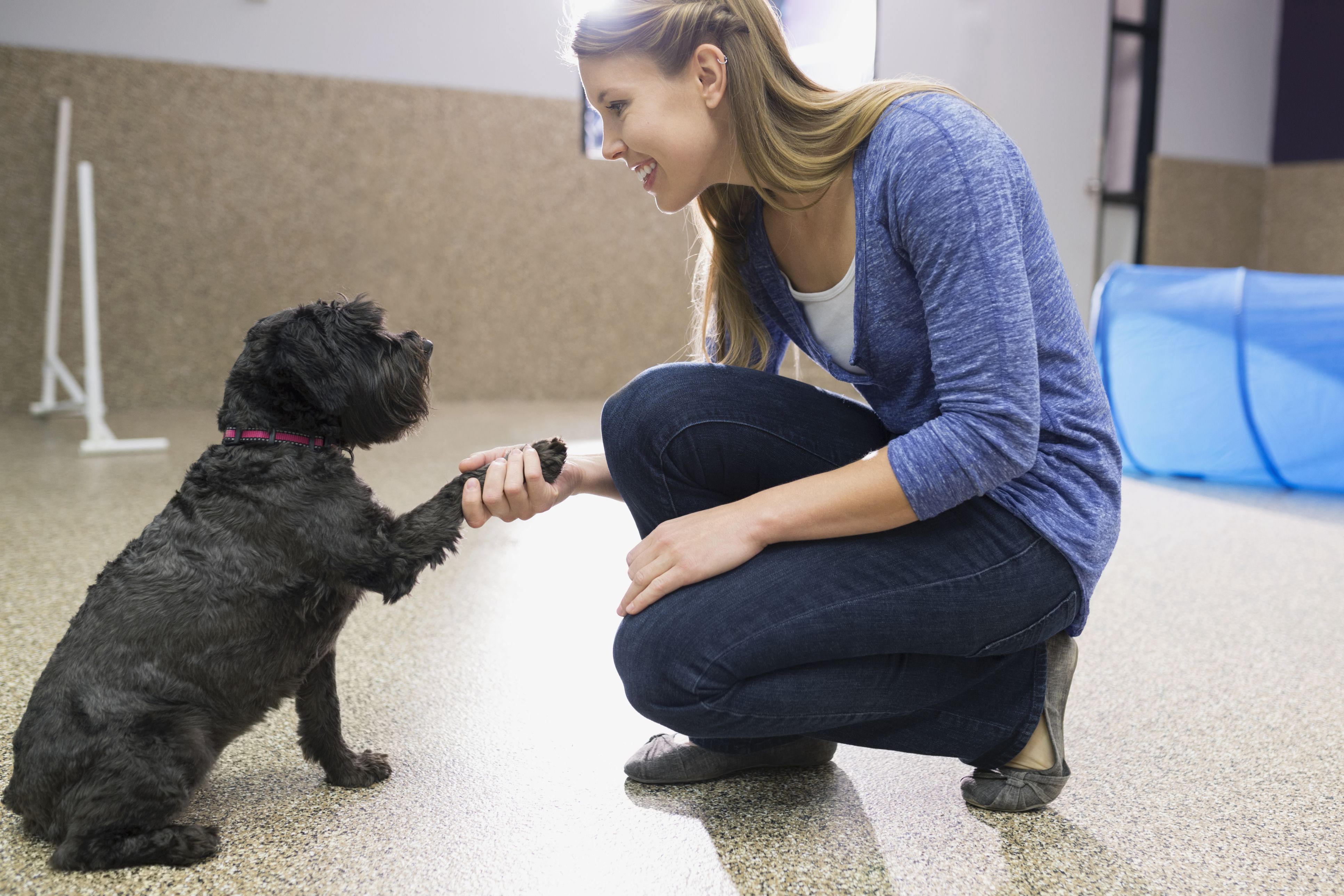 Essential Dog Grooming Guide: Keep Your Pet Healthy and Happy