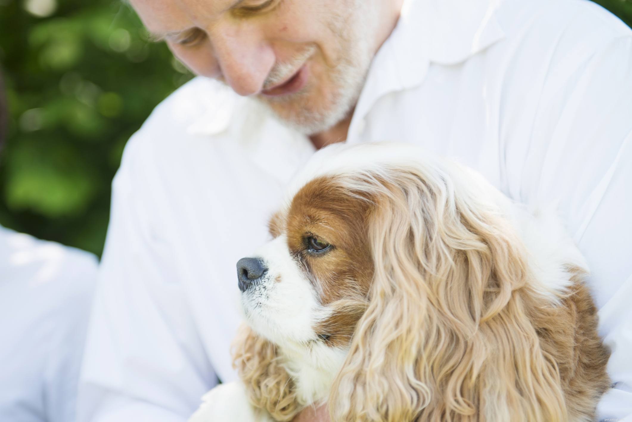 Essential Dog Grooming Guide: Keep Your Pet Healthy and Happy