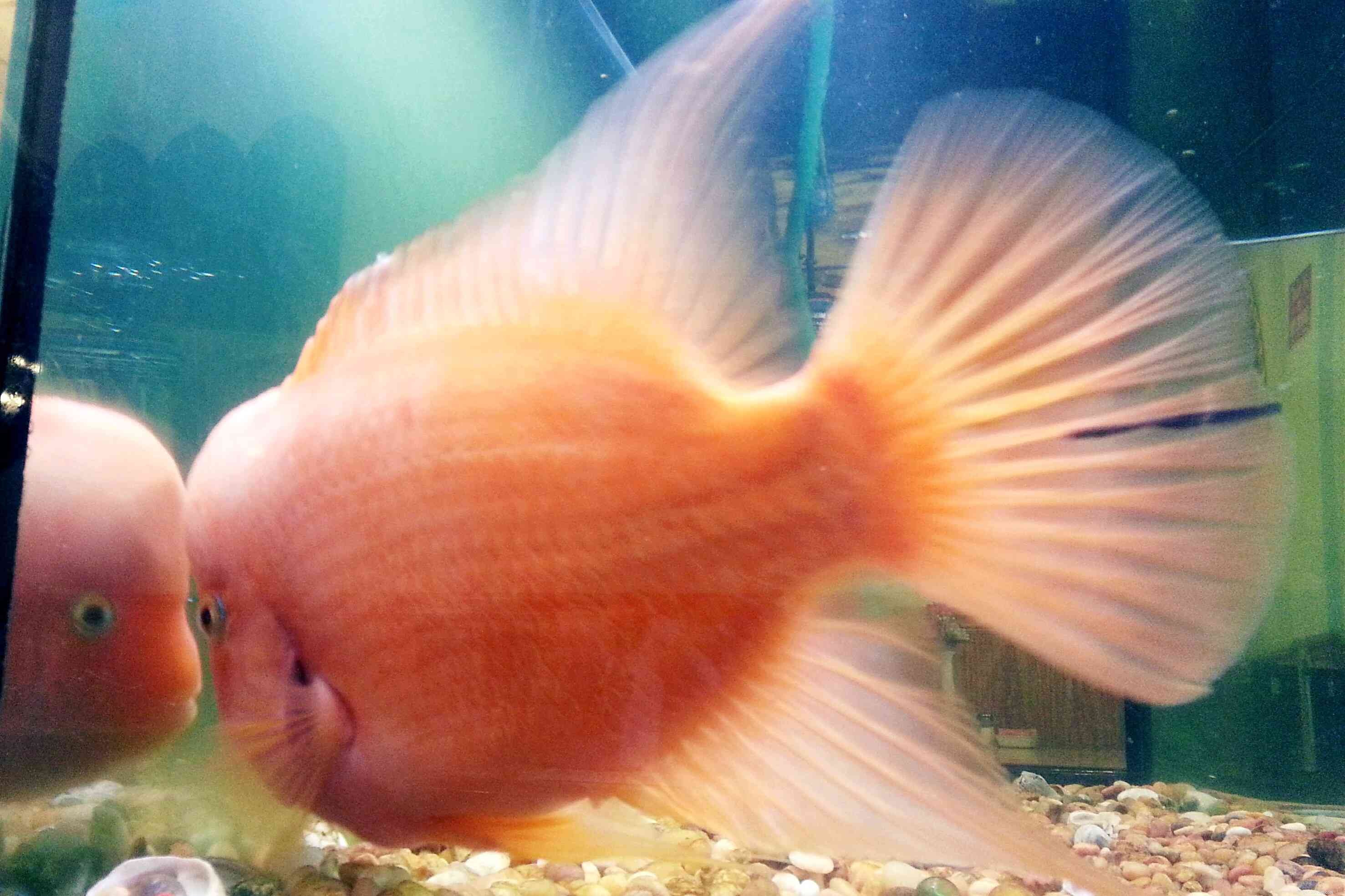 LED Aquarium Lighting: Cost‑Effective, Long‑Lasting, and Energy‑Efficient