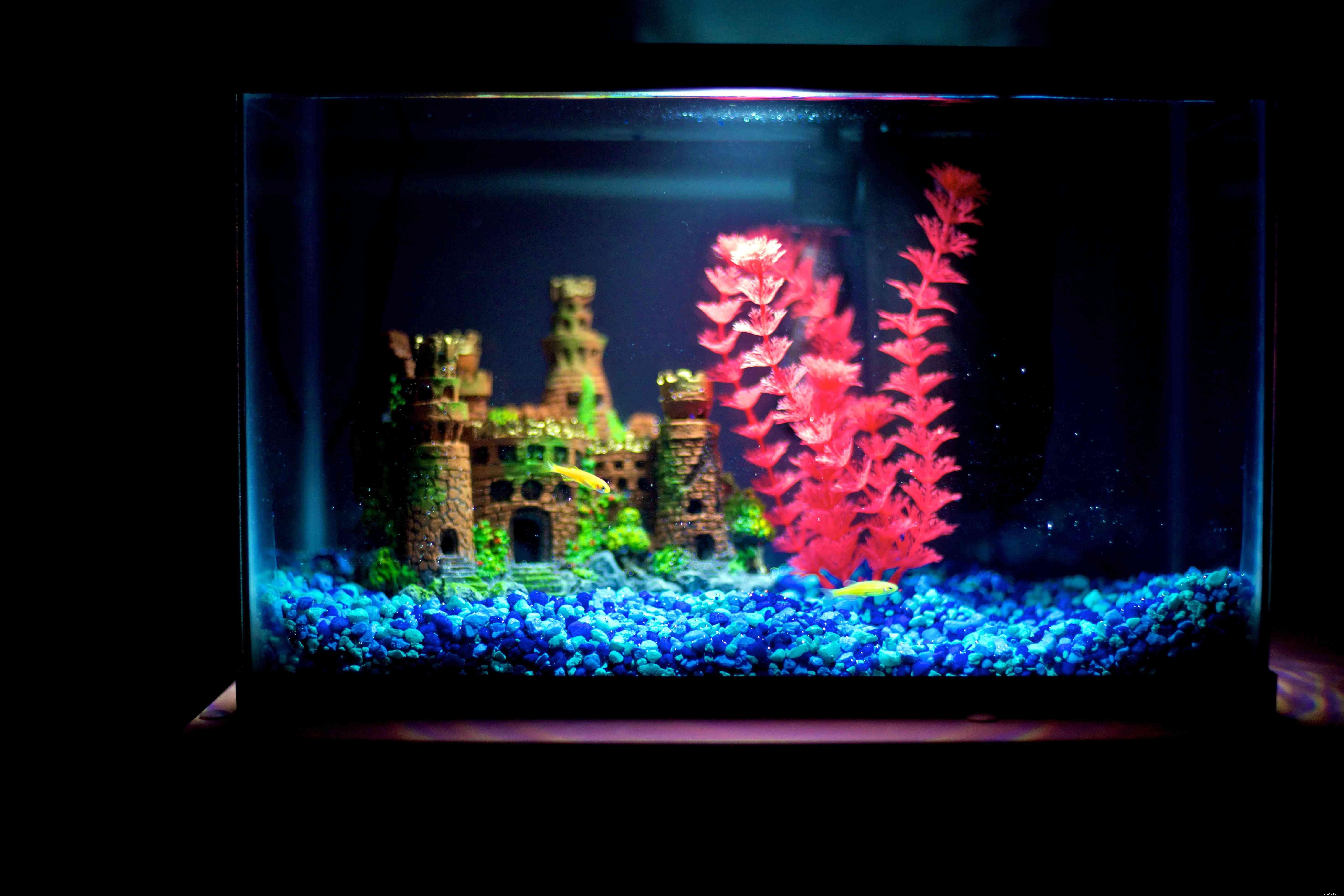 LED Aquarium Lighting: Cost‑Effective, Long‑Lasting, and Energy‑Efficient