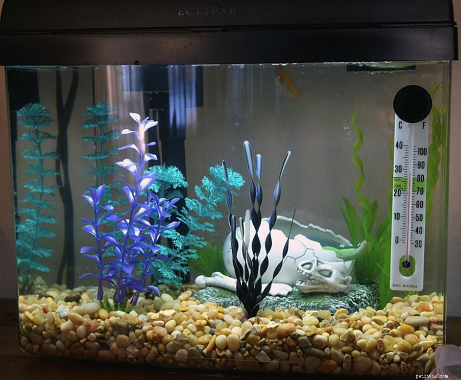 Step‑by‑Step Guide to Designing a Custom Glass Aquarium