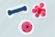 The Science Behind Why Dogs Love Squeaky Toys