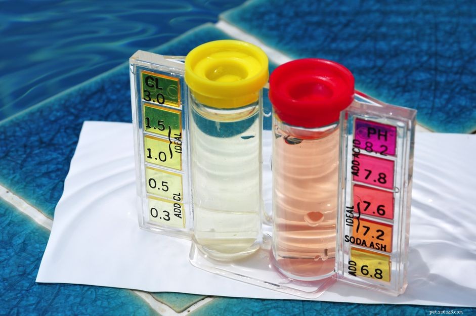 Chlorine vs. Chloramine: Key Differences for Safe Water Treatment