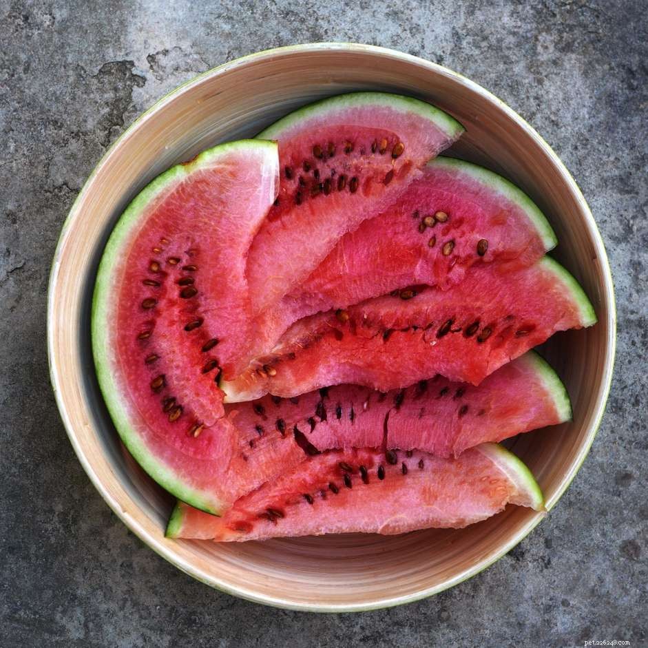 Safe & Delicious: Feeding Watermelon to Your Horse
